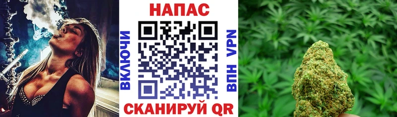 Бошки марихуана MAZAR  дарнет шоп  нарко площадка официальный сайт  Перевоз 